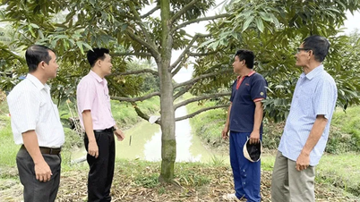 Chi nhánh Ngân hàng Chính sách xã hội TP Cần Thơ phát động phong trào thi đua hoàn thành xuất sắc nhiệm vụ