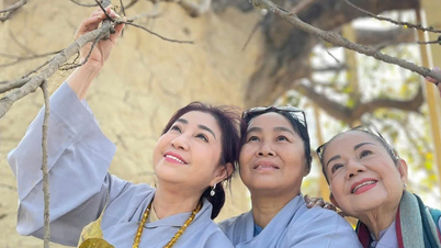 Thoại Miêu, Phượng Loan, Võ Minh Lâm… hát với lòng tôn kính trong mùa Phật đản
