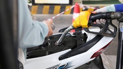 Gasoline prices continue to decrease from 3pm today, May 8