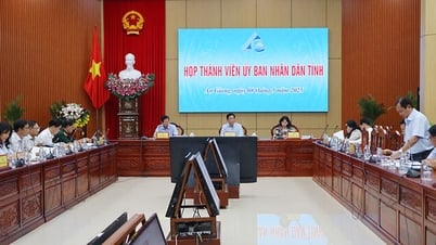 Họp thành viên UBND tỉnh cho ý kiến nhiều nội dung quan trọng