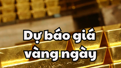 Dự báo giá vàng ngày mai 9/5/2025 giá vàng trong nước và thế giới đón thêm đợt giảm mới