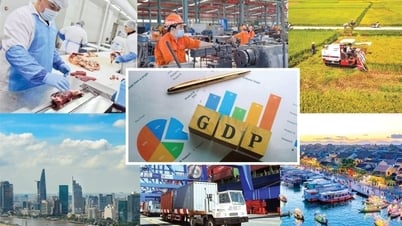 Tăng cường nội lực để ứng phó với ảnh hưởng thuế quan