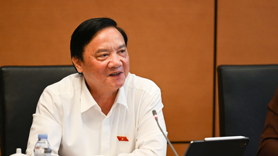 Không thể bổ nhiệm thẩm phán từ vụ trưởng không chuyên môn