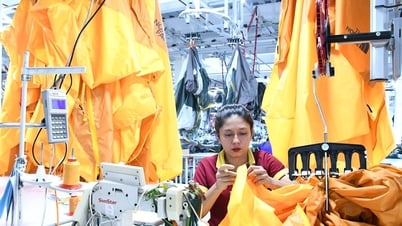 Tăng trưởng hai con số - Giải pháp bền vững nào cho Quảng Nam