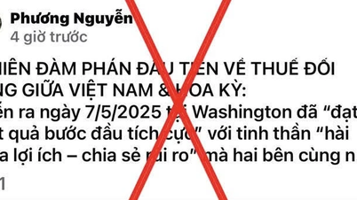 Cẩn trọng với thông tin giả về đàm phán thuế