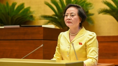 Trình Quốc hội sửa luật để thực hiện mô hình chính quyền địa phương 2 cấp