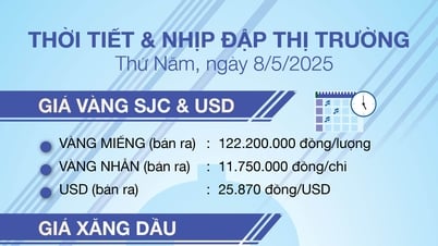 Thời tiết & nhịp đập thị trường 8/5
