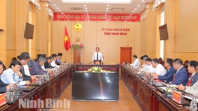 Đồng chí Chủ tịch UBND tỉnh làm việc với các nhà đầu tư nước ngoài