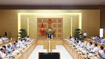 Thủ tướng Phạm Minh Chính: Phát triển kinh tế tư nhân là không có giới hạn