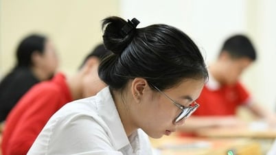 Công bố đồng thời kết quả thi và điểm chuẩn lớp 10 có làm khó trường tư?