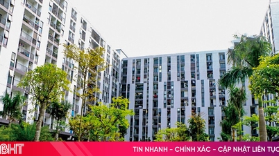 Ha Tinh រៀបចំមូលនិធិដីដើម្បីអនុវត្តគម្រោង "ផ្ទះល្វែងសង្គម 1 លាន"