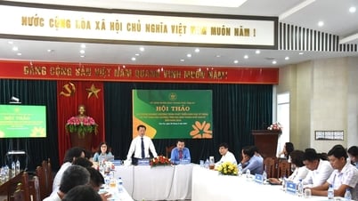 Tam Kỳ hội thảo phát triển giáo dục kỹ năng sống và thể thao học đường