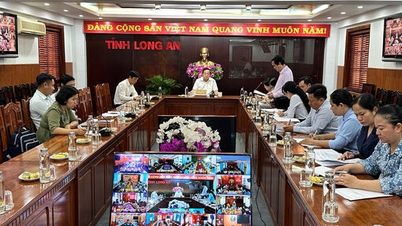 Long An triển khai kịch bản tăng trưởng khu vực I đạt 4% trở lên trong năm 2025
