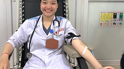 Cô sinh viên y dược và thanh xuân tình nguyện