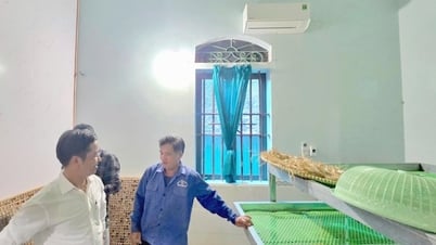 Nông dân Nghệ An nuôi tằm trong phòng điều hoà