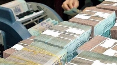Garantizar el financiamiento para la implementación del régimen a la hora de organizar y perfeccionar el aparato organizativo.