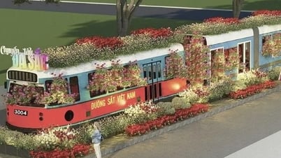 TP HCM tổ chức Festival hoa lan lần 3