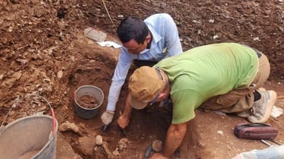Uncovering the “treasure” at the Quynh Van site