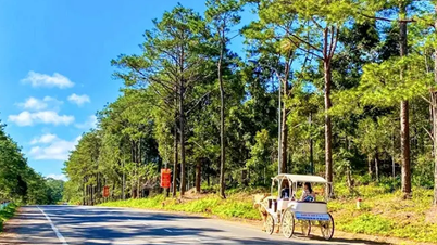 Bổ sung sân bay Măng Đen, Vân Phong vào Quy hoạch hệ thống cảng hàng không