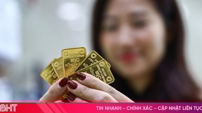 តម្លៃ​ដុំ​មាស​ជិត ១២៣​លាន​ដុង​ក្នុង​មួយ​តម្លឹង
