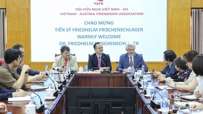 Quan hệ Việt Nam - Áo: Khai thác tiềm năng hợp tác trong các lĩnh vực then chốt