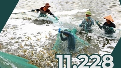 11 228 — таково общее количество объектов аквакультуры в провинции в настоящее время.