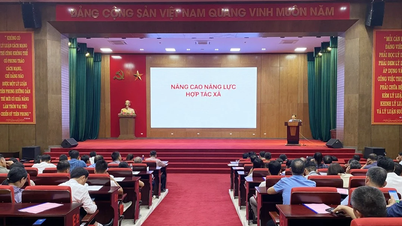 Nâng cao năng lực quản lý, điều hành hợp tác xã, tổ hợp tác, tổ hội nghề nghiệp