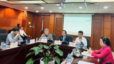Hiến kế bảo quản, khai thác kho tư liệu Hán Nôm cổ, có giá trị độc bản