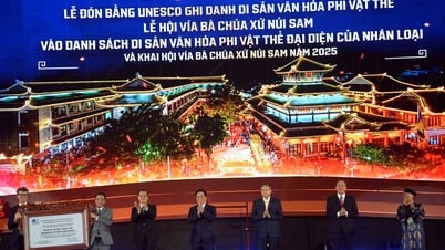 Umsetzung des Nationalen Aktionsprogramms zum Schutz und zur Förderung des kulturellen Erbes des „Via Ba Chua Xu Festival of Sam Mountain“