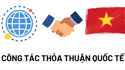 Gia Lai: Sửa đổi, bổ sung 9 TTHC nội bộ trong lĩnh vực ký kết và thực hiện thỏa thuận quốc tế