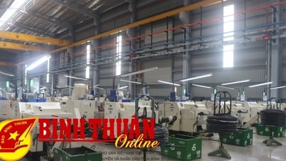Thúc đẩy phát triển doanh nghiệp nhỏ và vừa