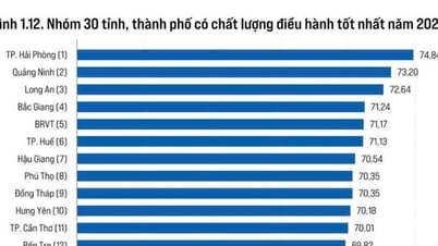 Báo cáo PCI: