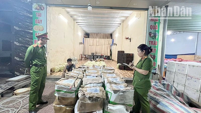 Son La discovered many vegetables, tubers and fruits containing harmful substances