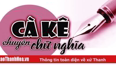 “Nuộc lạt” và “Nút lạt”