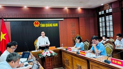 Bac Tra My ត្រូវការផ្តោតលើការចែកចាយកម្មវិធីគោលដៅជាតិ