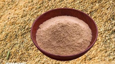 Großartige Chance, Reisnebenprodukte in wichtige Exportprodukte umzuwandeln