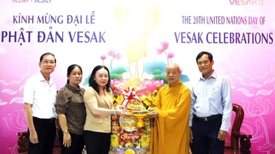 សមមិត្ត Duong Thi Ngoc Tho អនុប្រធានក្រុមប្រឹក្សាប្រជាជនខេត្ត បានអញ្ជើញទៅសួរសុខទុក្ខ និងជូនអំណោយដល់គណៈកម្មាធិការប្រតិបត្តិនៃគណៈកម្មាធិការព្រះពុទ្ធសាសនាវៀតណាមប្រចាំខេត្ត Tra Vinh។