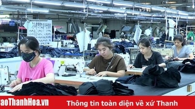 Tho Xuan: Muchos trabajadores tienen trabajos e ingresos estables en las empresas.