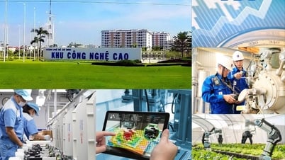 For sustainable growth with aspirations to reach far