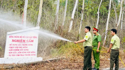 ការការពារភ្លើង និងការពារព្រៃឈើ