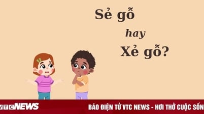 90% người nhầm lẫn: 'Sẻ gỗ' hay 'xẻ gỗ'?