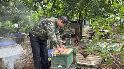Agribank Hoa Binh - 농부들의 친구
