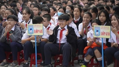 Những tỉnh, thành nào hiện miễn học phí 100% từ mầm non tới hết lớp 12?