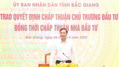 Trao quyết định chấp thuận chủ trương đầu tư dự án hạ tầng Khu công nghiệp Tiên Sơn - Ninh Sơn và Cụm công nghiệp Phương Sơn - Đại Lâm