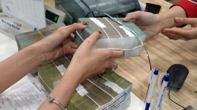 주가는 700동에 불과하지만 배당금은 15,000동입니다.