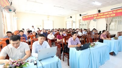 Chau Thanh 정보기술 응용 교육