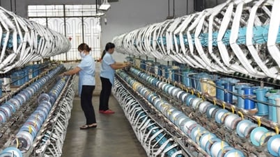 Khi cây dâu tằm tăng cả 3 tiêu chí