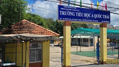 Disciplinary review of principal accused of "molestation and harassment" by teacher