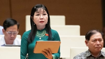 Đại biểu Trần Thị Thanh Hương đóng góp dự thảo Luật Công nghiệp công nghệ số