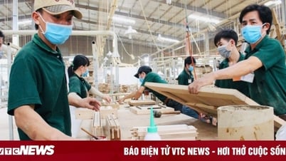 Chuyên gia hiến kế cho doanh nghiệp Việt bán hàng sang Mỹ
